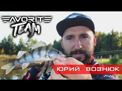 Видео: Наноджиг как способ уйти от нуля. Ловля окуня летом на ультралайт. Favorite Team.
