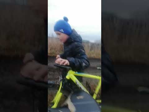 Видео: 28 октября 2025 г.