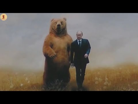 Видео: Нэг л өдөр эхлэх нэгэн дайн