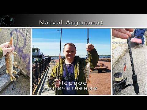 Видео: нарвал аргумент \ Narval Argument