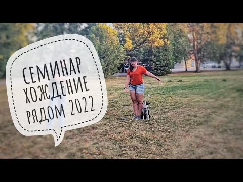 Видео: Академическое хождение рядом/семинар 2022 с Региной Сууп