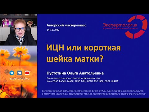 Видео: ИЦН или короткая шейка матки? l Пустотина О. А.