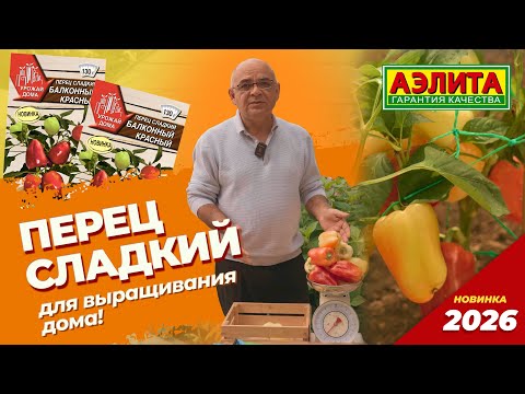 Видео: Скороспелый и компактный сладкий перец БАЛКОННЫЙ КРАСНЫЙ из серии УРОЖАЙ ДОМА!