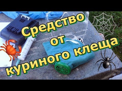 Видео: Средство от куриного клеща 🦀 / Борьба продолжается 🤼‍♀️ / Видео не для всех 🙈