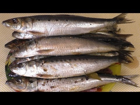 Видео: СЕЛЬДЬ  ИВАСИ, малосольная сардина, как в банках с магазина,МоиРецепты#Сельдь