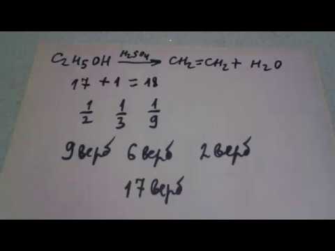 Видео: 61.  Что такое катализатор. притча про 17 верблюдов