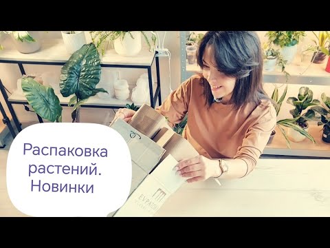 Видео: Распаковка растений