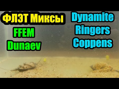 Видео: Прикормка для ловли карпа и карася на флэт фидер  DYNAMITE BAITS RINGERS DUNAEV COPPENS FFEM