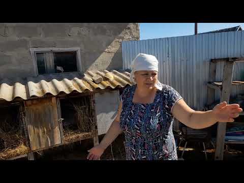 Видео: кролиководство.хлопоты одного дня деревенской жизни