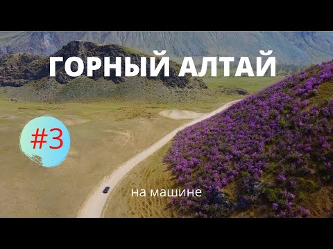 Видео: Алтай на машине.Что посмотреть? Телецкое озеро.