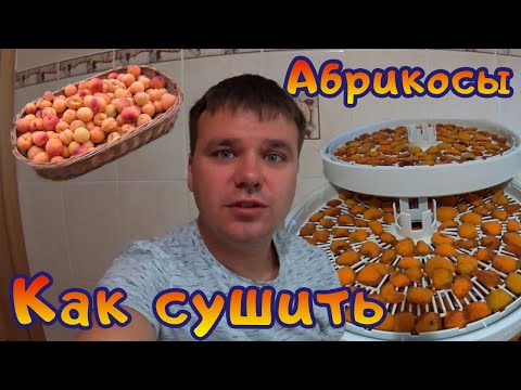 Видео: Как сушить абрикосы в электро сушилке на курагу