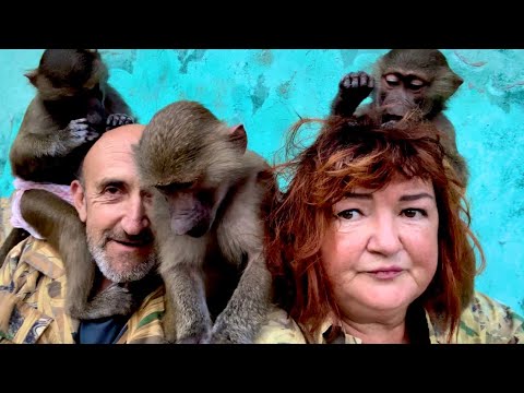 Видео: Тося СОШЛА с УМА! Я думала что Люся меня жестко встретила, но то, что вытворила Тося….(((