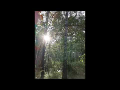 Видео: Русская заговорная традиция Первая часть