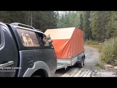 Видео: В Карелию через Питер