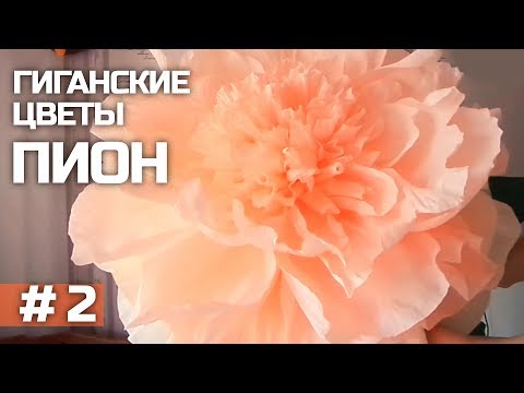 Видео: ГИГАНТСКИЕ ростовые цветы. Пион (часть II) / Giant paper flowers | Peony | Part 2