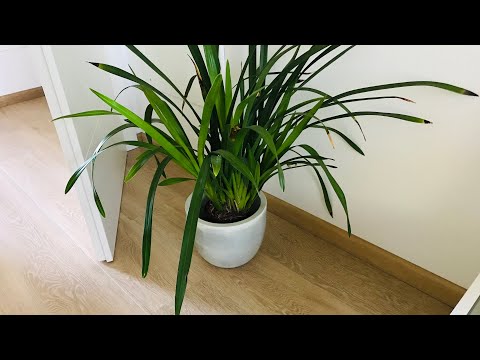 Видео: вещи, которые очень быстро нас захламляют и накапливаются..