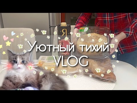 Видео: Уютная рутина жизни офисного работника / Silent vlog