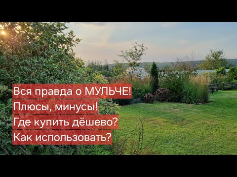 Видео: Вся правда о МУЛЬЧЕ! Плюсы, минусы! Как правильно использовать! Где купить дёшево!