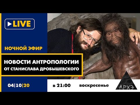 Видео: Ночной АРХЭфир "Новости антропологии от Станислава Дробышевского"