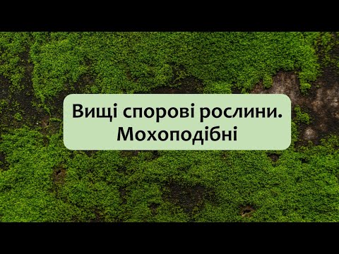 Видео: Біологія 7 клас (Балан). §23  Вищі спорові рослини. Мохоподібні