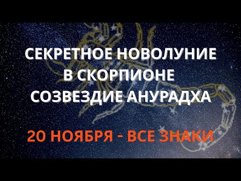 Видео: НОВОЛУНИЕ 20 НОЯБРЯ И СЕКРЕТЫ СКОРПИОНА | ВСЕ ЗНАКИ
