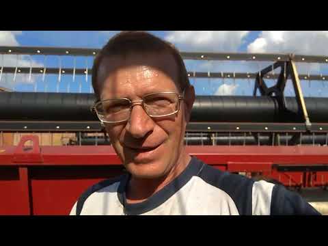 Видео: Настройка жатки по рекомендациям Леонида Клаузера.