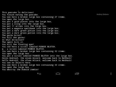 Видео: Nethack, маг миллишник