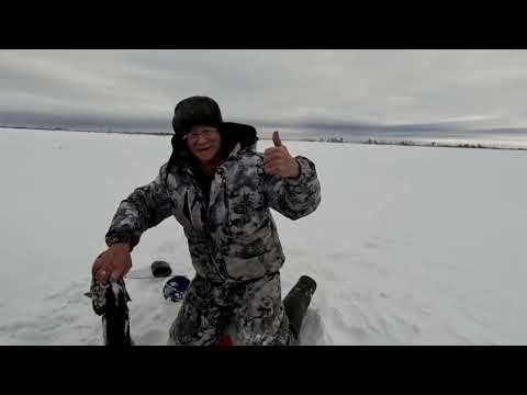 Видео: Второй день Рыбалки.  От ЩУК нет отбоя.