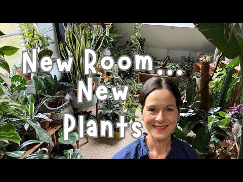 Видео: Новая комната для растений 🌱 Какие комнатные растения мне купить?
