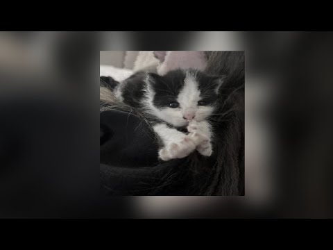 Видео: танцуй и убирайся под этот playlist