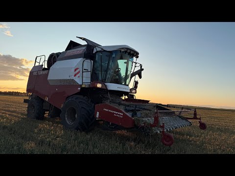 Видео: УБОРКА ОЗИМОЙ ПШЕНИЦЫ 2 ВЕКТОРА И ПАЛЕССЕ 812! ПЕРВЫЙ ВЫЕЗД В ПОЛЕ НА НОВОМ КОМБАЙНЕ! (СЕЗОН:2025)