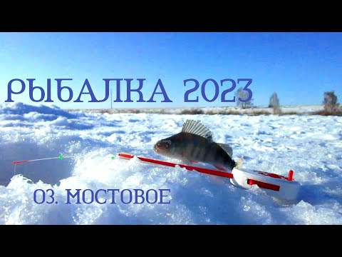 Видео: ФЕВРАЛЬСКАЯ РЫБАЛКА НА ОЗЕРЕ! ОКУНЬ НА МОРМЫШКУ!  ГВОЗДЕКУБИК И ДРОБИНКА!