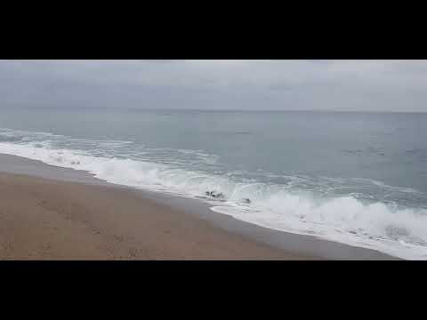 Видео: Пляж Аржелеса Сюр Мер #Франция