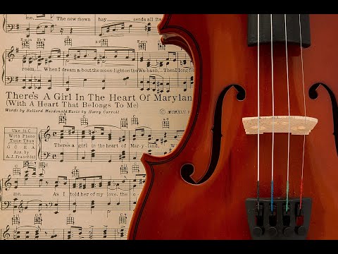 Видео: История музыки от обычного меломана. НАЧАЛО…