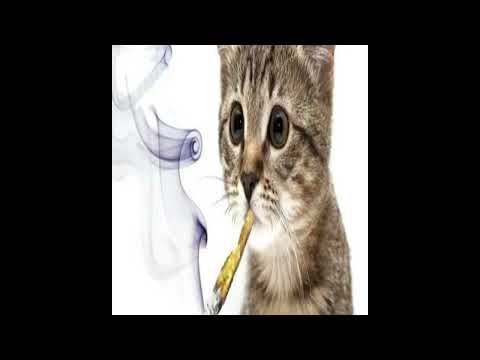 Видео: [free for profit] 5mewmet + digicore + robloxcore type beat "алоооо"