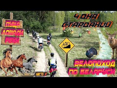 Видео: Велопоход по Беларуси, 4 дня страданий (день 3 и 4)
