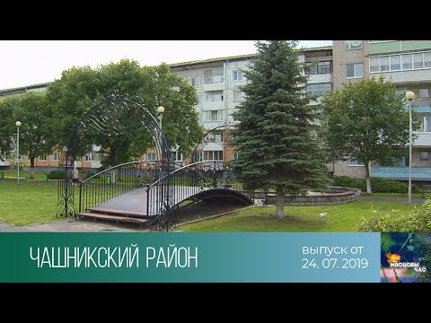 Видео: Мясцовы час (24.07.2019)