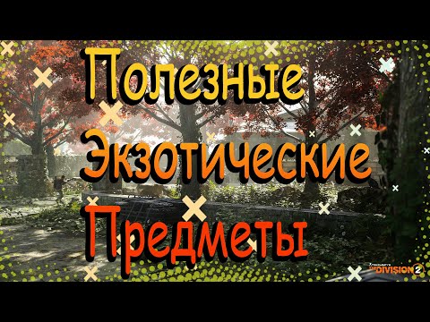 Видео: DIVISION 2 ПОЛЕЗНЫЕ ЭКЗОТЫ