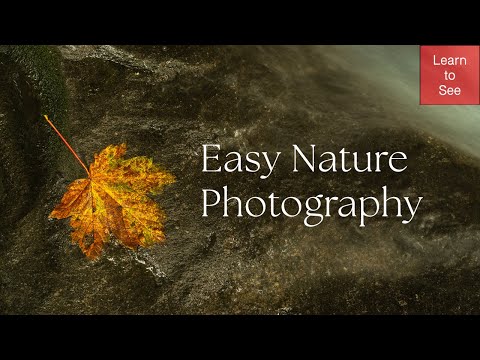 Видео: Простая фотография природы с Саймоном Бутом