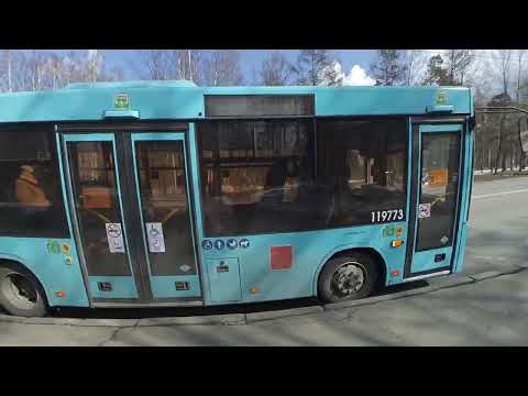 Видео: Автобус "119773 по 251 по Тореза в СПб 12-*: МАЗ-206.945 по №251 (02.04.22)