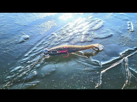 Видео: Спінінг По Першій Кризі. Остання Риболовля Листопада