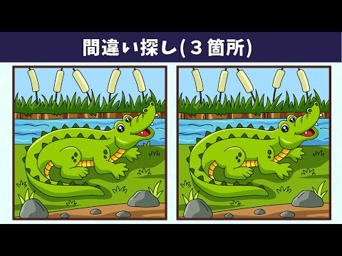 Видео: Найдите 3 отличия | Иллюстрация Версия #784