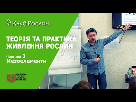 Видео: ТЕОРІЯ ТА ПРАКТИКА ЖИВЛЕННЯ РОСЛИН. Частина 3. Мезоелементи - Сірка, Магній, Кальцій