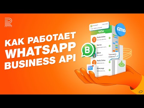 Видео: Как работает WhatsApp Business API в amoCRM? Официальный WhatsApp: коротко о главном