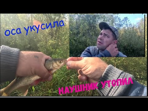 Видео: Рыбалка на мохтика.