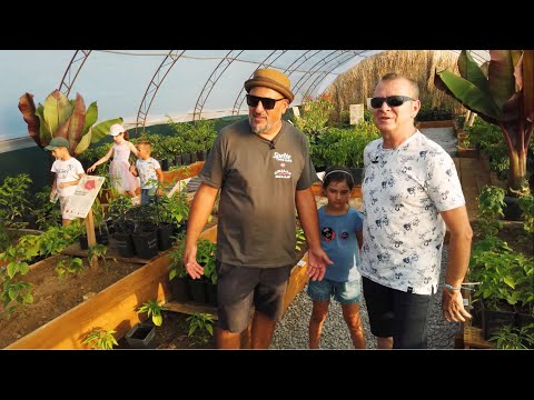 Видео: Цветен лабиринт на гости във фермата за люти чушки "Chilli Hills Farm"