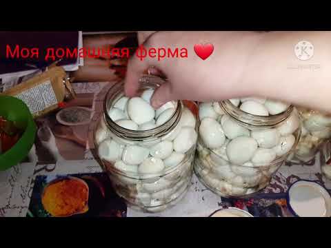 Видео: Самый вкусный рецепт 🔥маринованных перепелиных яиц 🔥