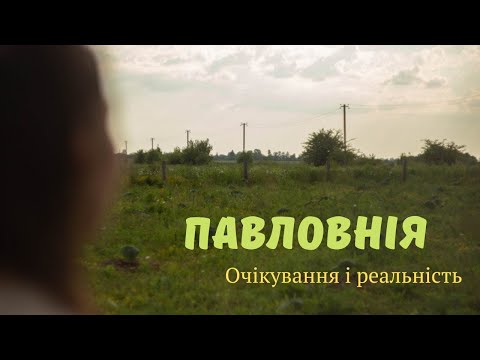 Видео: Вся про правда про павловнію