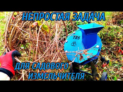 Видео: САДОВЫЙ ИЗМЕЛЬЧИТЕЛЬ TRS. ДВА ГОДА ЭКСПЛУАТАЦИИ - ПЕРВАЯ ПОЛОМКА!