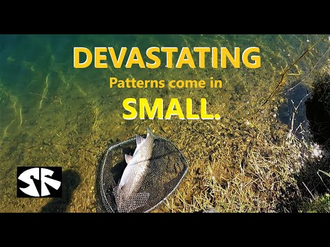 Видео: ЛЕТНЯЯ РЫБАЛКА: простая мушка — настоящее удовольствие. Приманивает уставшую рыбу.